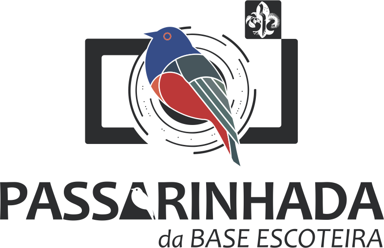 Passarinhada na BASE
